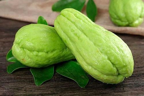 樟树免费吃瓜,樟树邀您共享夏日清凉