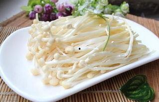 金针菇今日爆料最新,揭秘娱乐圈惊人内幕！