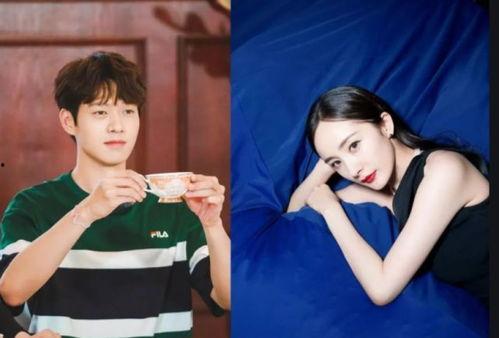 moco杨幂最新爆料,Moco世界揭开神秘面纱